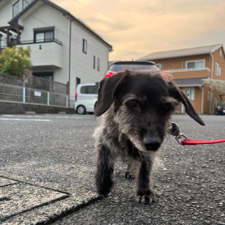 9bfb02c2 5289 47a5 ae02 64378f555ac3 1751760728418