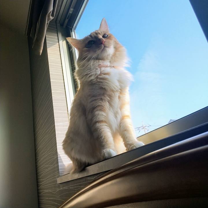 9bfb05f4 c51d 44e5 8e1e 8a0ddf1acd66 1626989382180