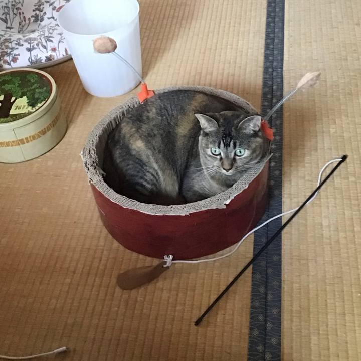 9bfb0ece f07b 48d7 a6dd f3011ab7f717 1696243334659