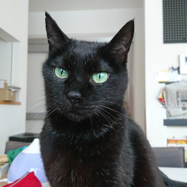 9bfb2d0f 5397 4d67 9b8a 0daf2fba5db2 1548312785901