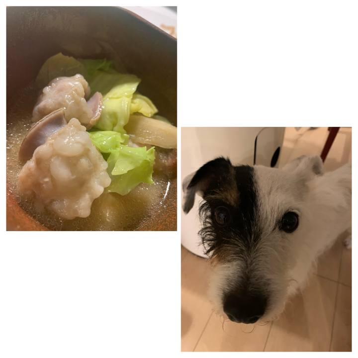 9bfb5515 e565 4c3d 9734 67a76417483d 1647599766771