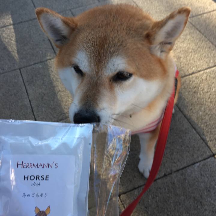 9bfba901 302f 470f aeea a194a7bc5e52 1603606538777