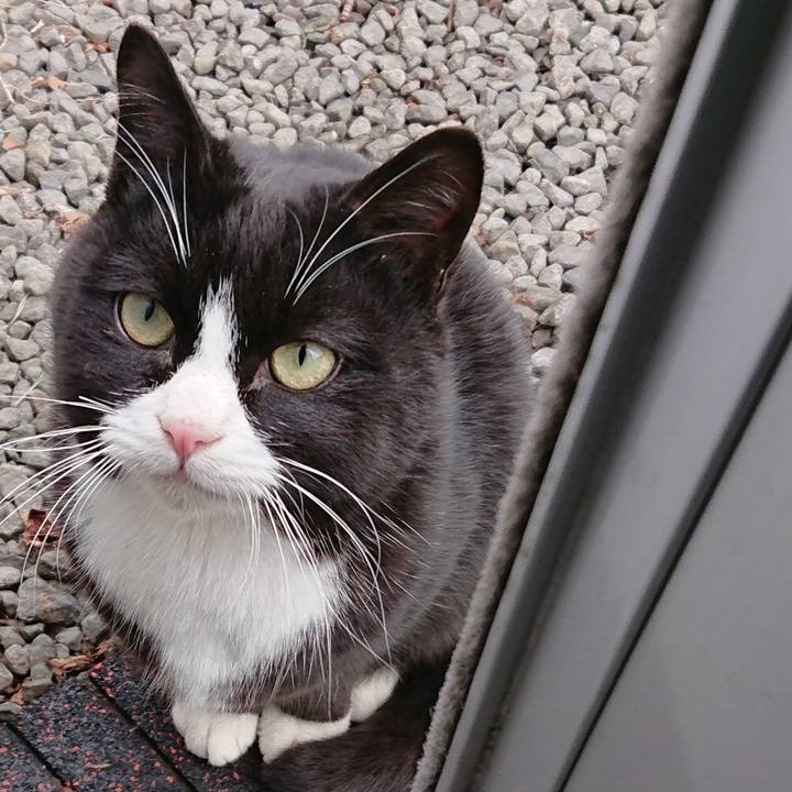 9bfbe3a1 048c 419d a4a1 ebfda0c72e72 1551588662989