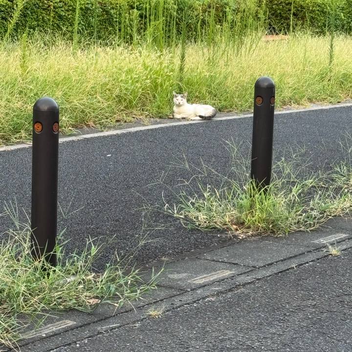 9bfbf78e da5e 4405 96ba a58edfc0ab37 1756176466359