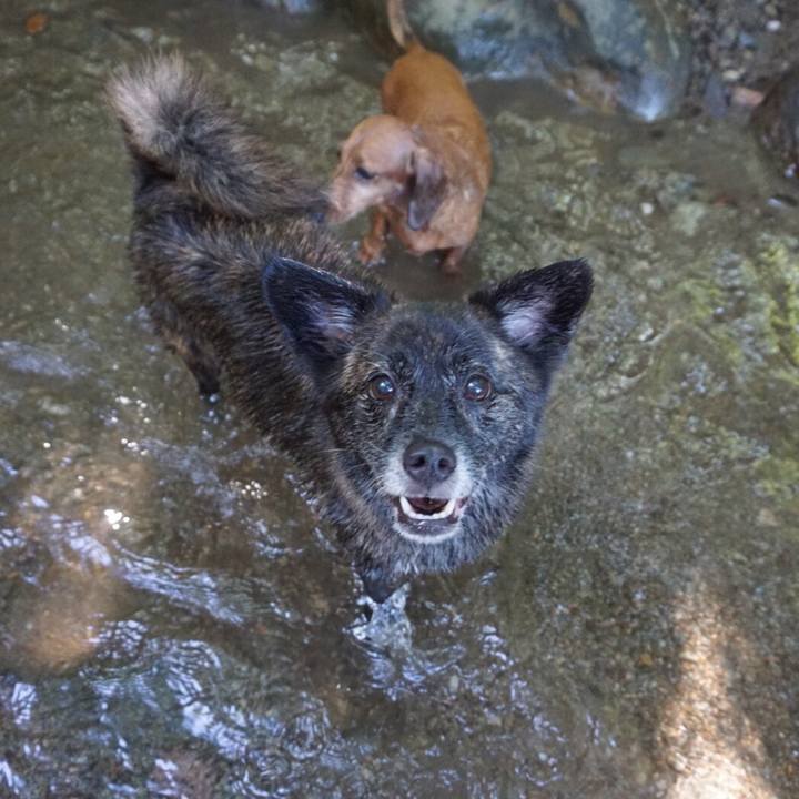 9bfc1185 c765 4e26 820e 75e9e6fb9528 1565235877611