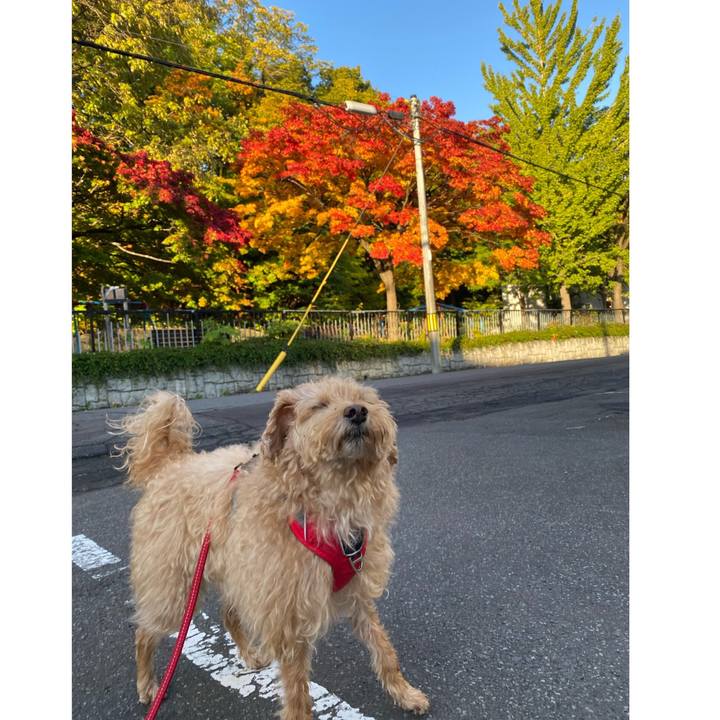 9bfc166d bc8f 4062 9597 8a9eea7cee6e 1698275207970