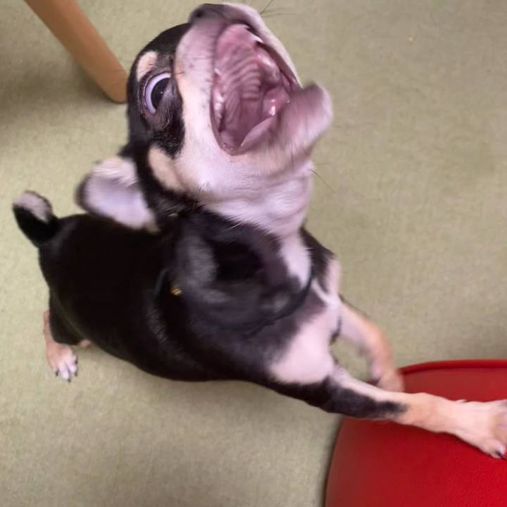 9bfc453a 1e4f 4fa2 a01d 930e77b3a154 1719839433798