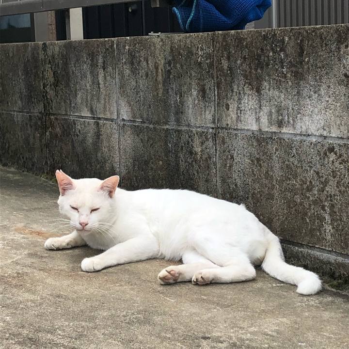 9bfc581b 1002 477b 9972 9f90fa79f7f6 1567495119135