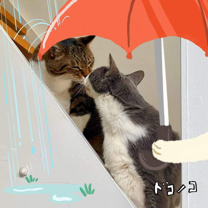 9bfc6fcc c898 4bb7 a7dd 846579d36bc0 1749527394675