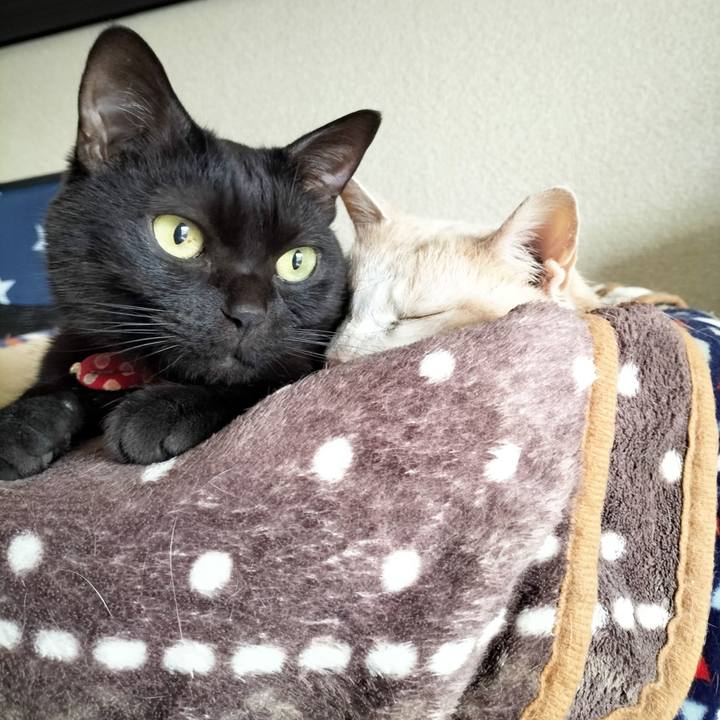 9bfc76d8 10bf 4993 989b c69ab79a62c0 1677108824912