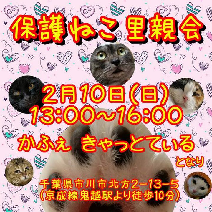 9bfc9c63 f012 40ff b000 35d31cf8af2d 1549683334748