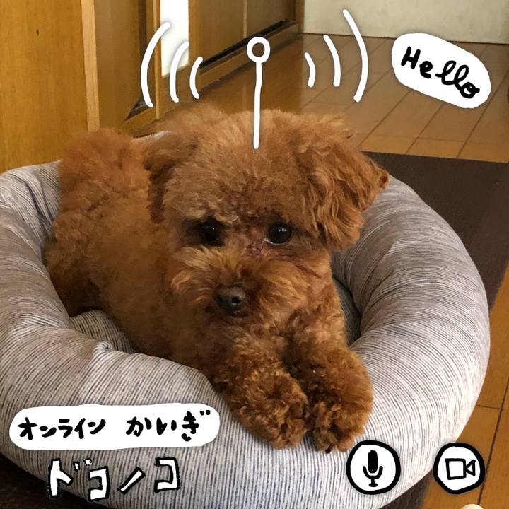 9bfcca20 1855 48a4 85bb fc5559f70e7d 1590897422287