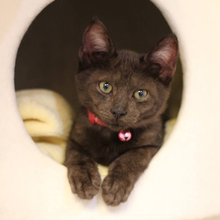 9bfcd81b 3d52 4885 b8c5 bb7183e90973 1619013942490