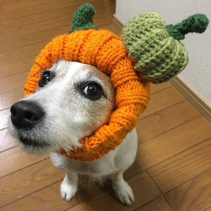 9bfcd823 598f 41da b47c 7c0152bbf8ca 1604094788225