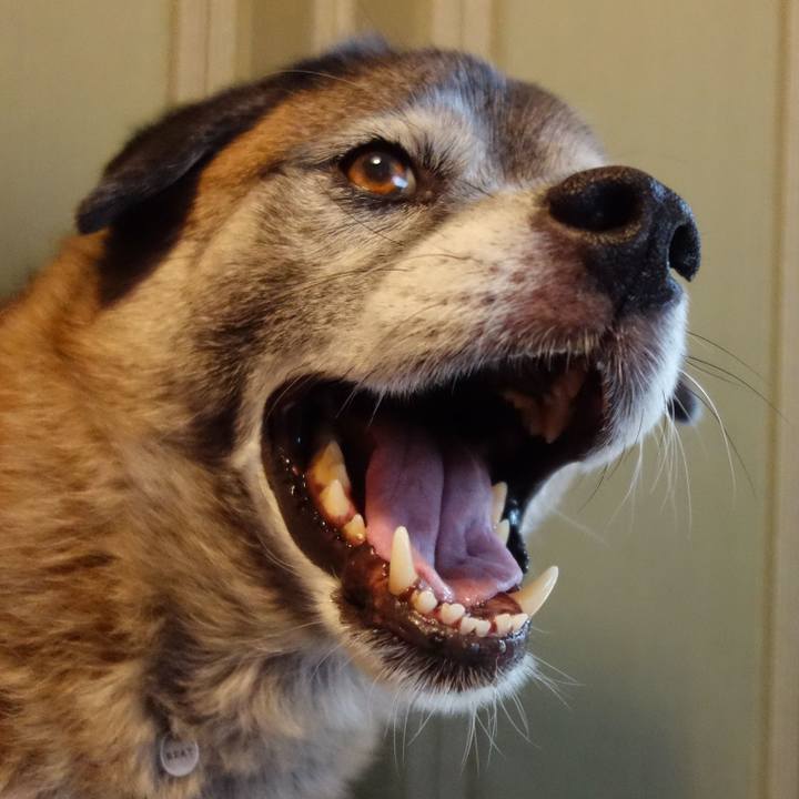 9bfcffed 865c 4828 95dd 6d676b2b4028 1679881317585