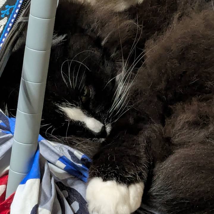 9bfd2545 df78 475e a3c3 5fd9e8688e99 1741995734220