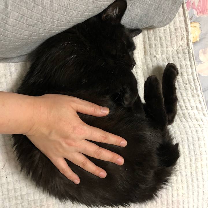 9bfd283a bddb 4030 a04c 74b4cb46b3f0 1586599724748