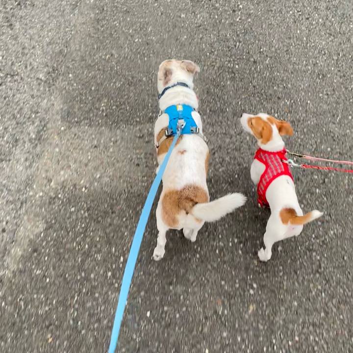 9bfd5d57 7819 462a 9e72 4664da749398 1696456858753