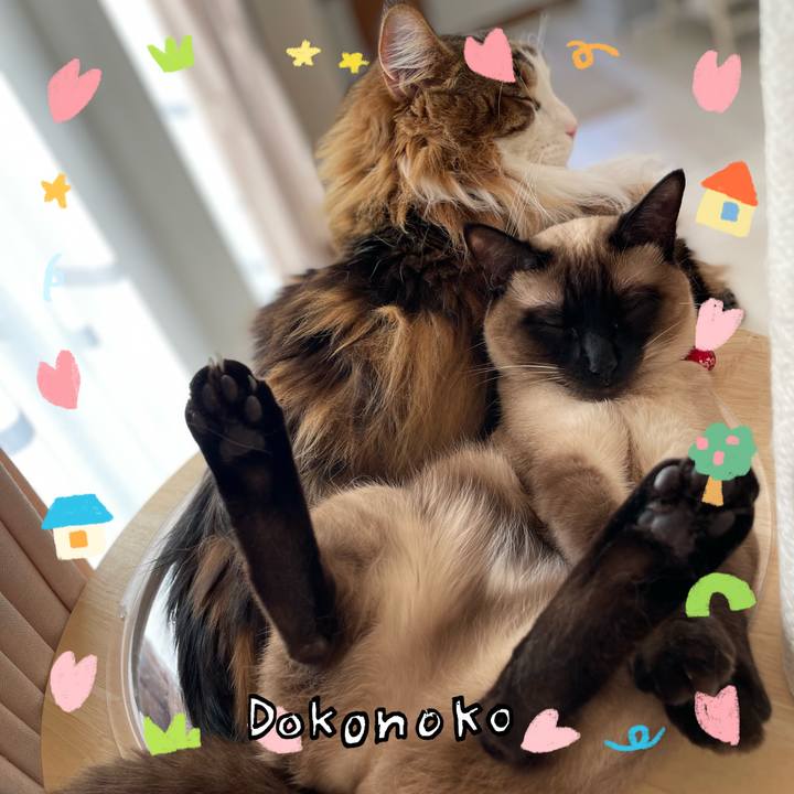 9bfd616d c9ed 449b 9429 8267490c9d55 1741481416811