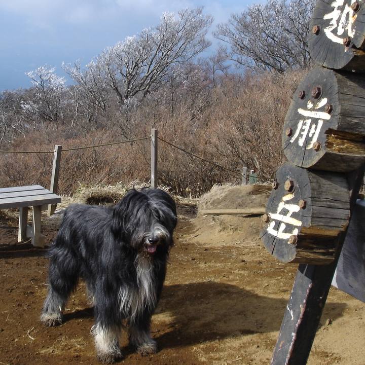 9bfd7540 73b0 4553 9c8a 51c5cb711373 1546756172936