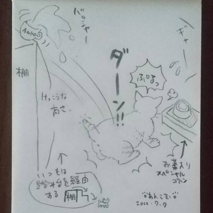 9bfdf400 8de5 4d53 9386 7bc5345524a3 1657183727111