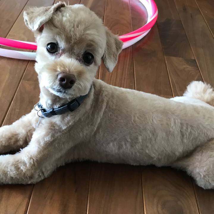 9bfe5ab9 cd75 4741 a209 8ba778bb36d3 1533690323677