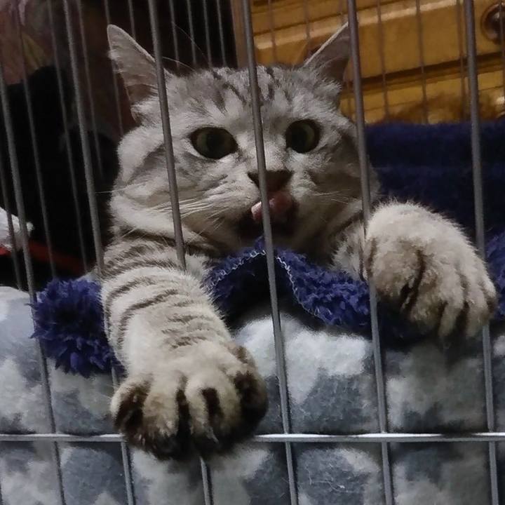 9bfe8b38 b42d 432b 9fc6 83b9518ef640 1515484244354