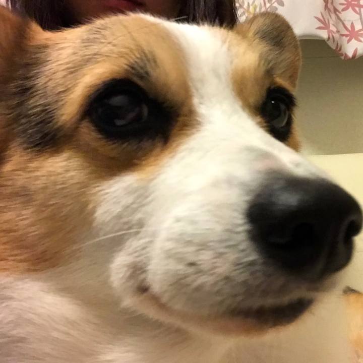 9bfeb0b5 e535 46a3 9121 3bc13307fb16 1543726657687