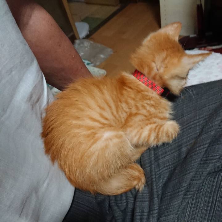 9bfeb91c 7cf4 423f 8bd7 43d8bbe5f5ea 1628719183818