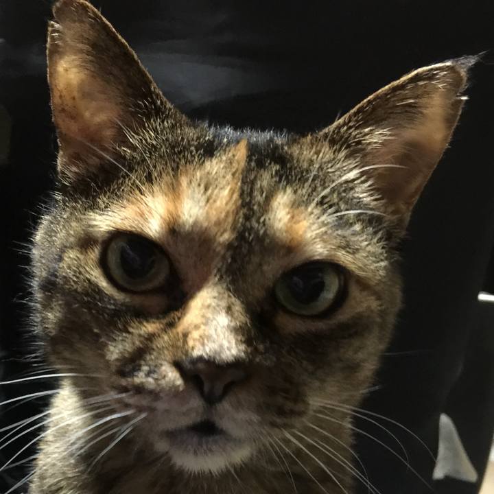 9bfec311 2968 41f2 8946 f311c47303a4 1713442048987