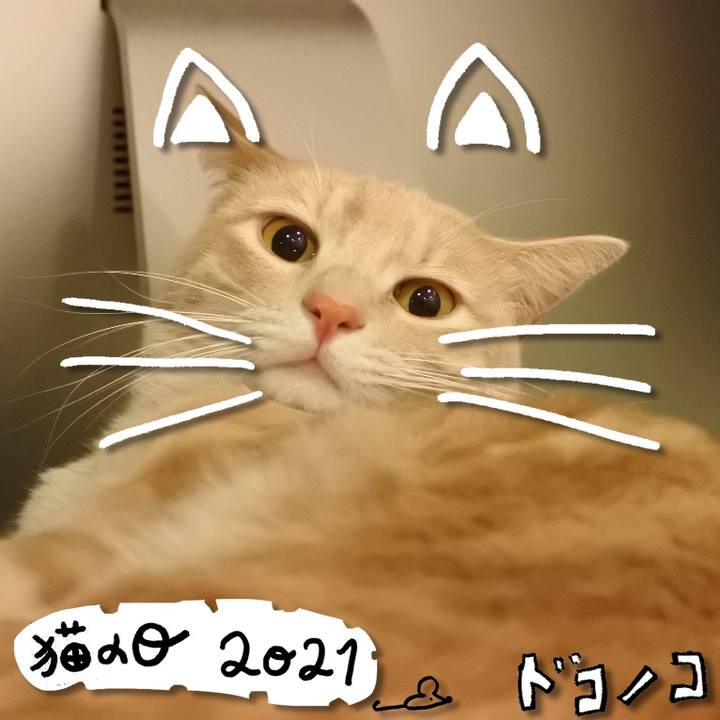 9bfed51e fc16 4aad 90b8 323e0694536c 1614043045065