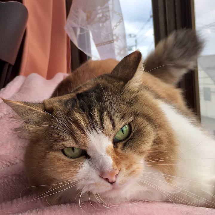 9bff4026 d20f 4292 8b30 e6ea0e067194 1571898848363