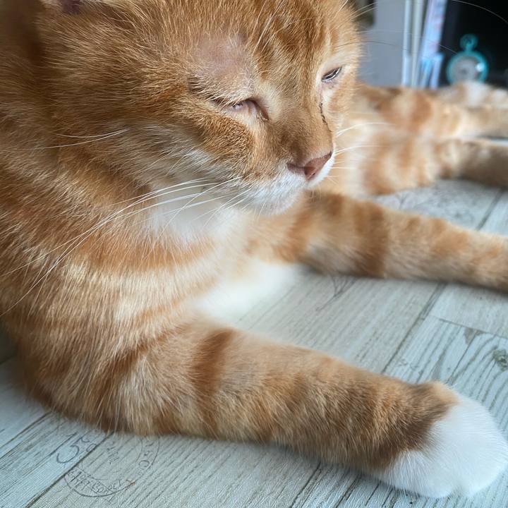 9bff9433 fcb8 446a 96d7 079d25fa58d9 1599352525680