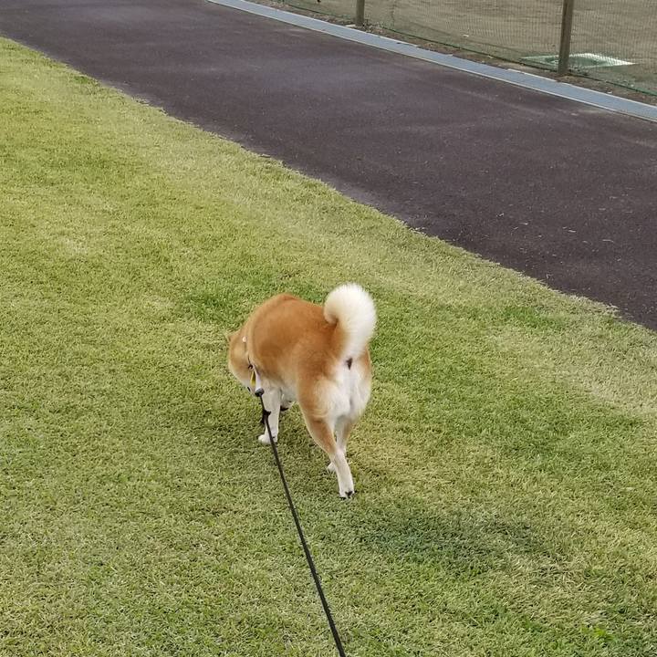 9bffa906 2ed7 4423 a54f 49f10be90c4d 1634965634774