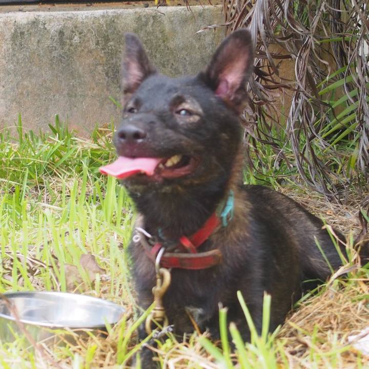 9bffde51 2e94 456f b192 9db6554fc650 1564213537392