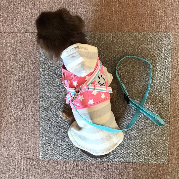 9c004a78 d76e 4dda 8725 35351d2f3c46 1579587845333