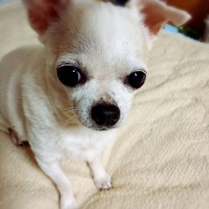 9c0062d9 9997 4bba b557 0f0bea3dedc5 1763130098627