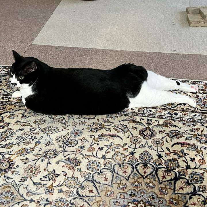 9c0089d1 3d29 4e3e 9354 584719568abf 1762983447043