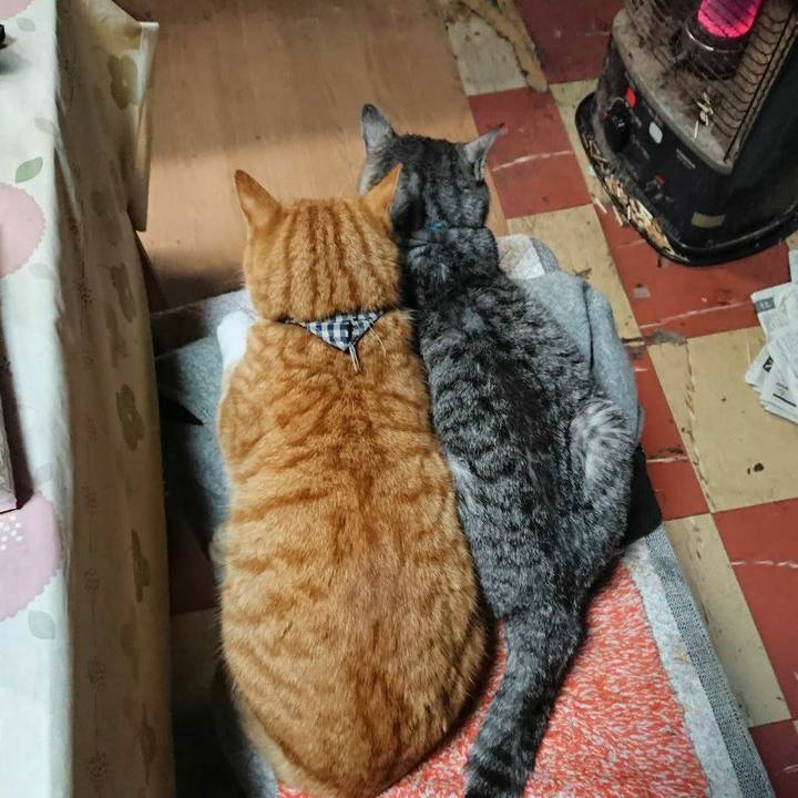 9c00a7f4 764a 4d94 aec9 703af108fe51 1575708605808