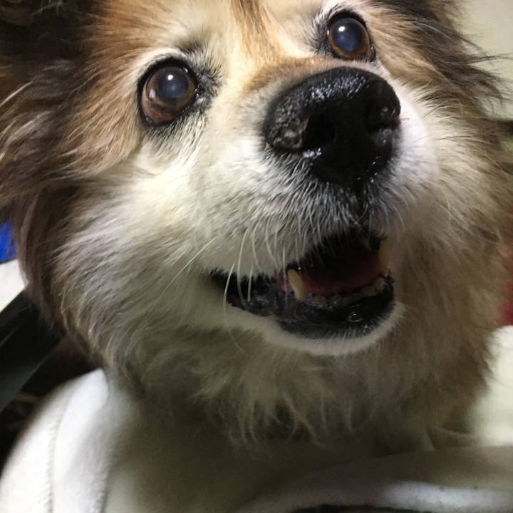 9c00bff3 5a12 40c4 85c5 f83cd4a841c6 1570481191086