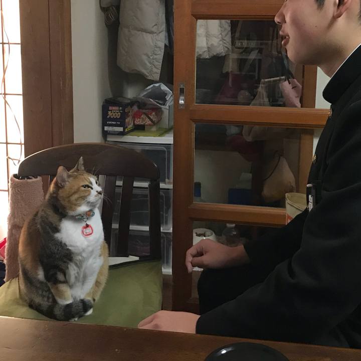 9c00c12f d9a8 4682 b94c e50a87029331 1520903594222