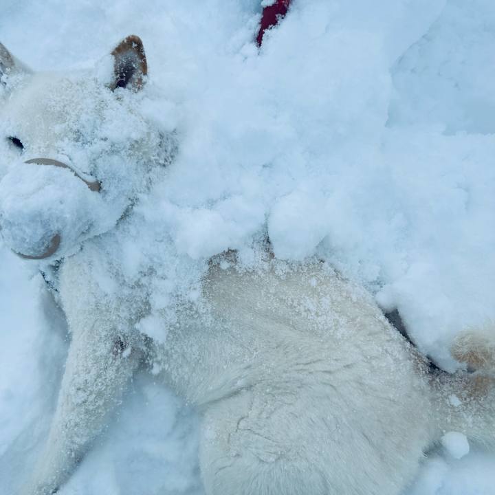 9c00cbb2 7784 4c9c b16a 7b5ffebe1bbc 1707606698715