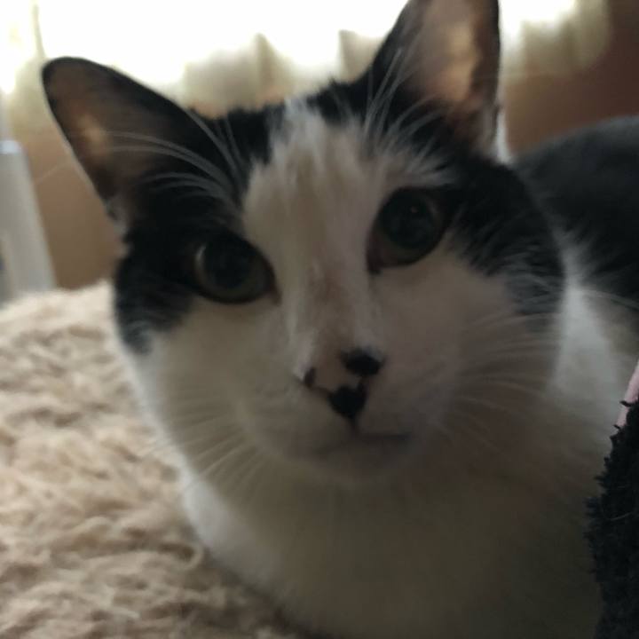 9c00ffdf 4ebd 4824 a6c7 9757bc28a8f5 1580259778443