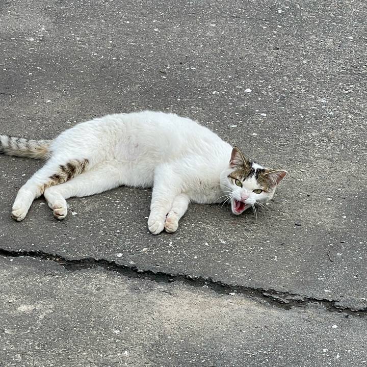 9c01801f eed3 45c0 a713 fd16e1cec25e 1652525367975