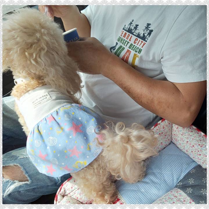 9c01a3fe 62f9 4a10 b781 a079f5fbb8e5 1567337215957