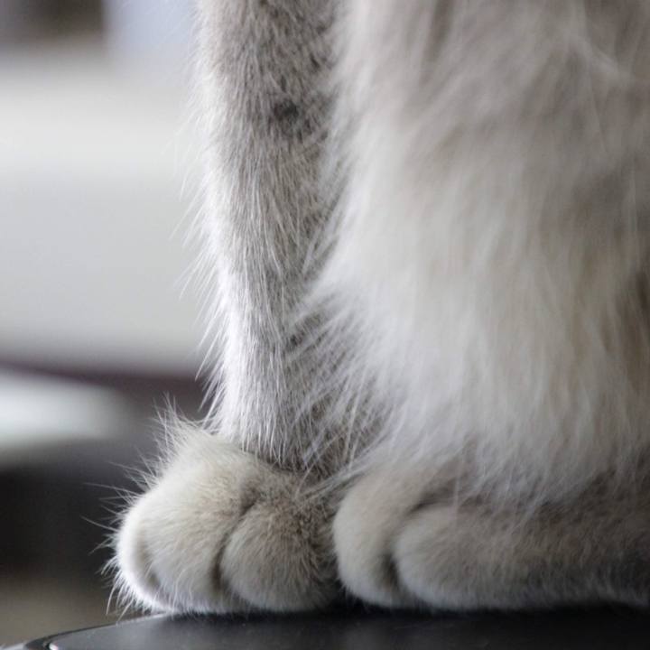 9c01a5b8 28c3 4297 9045 7f700931433e 1572941691217