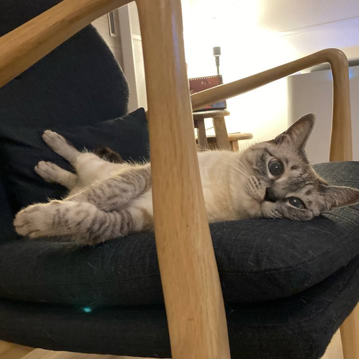 9c01aff3 c472 4c31 9431 d12f61f17954 1622380382894