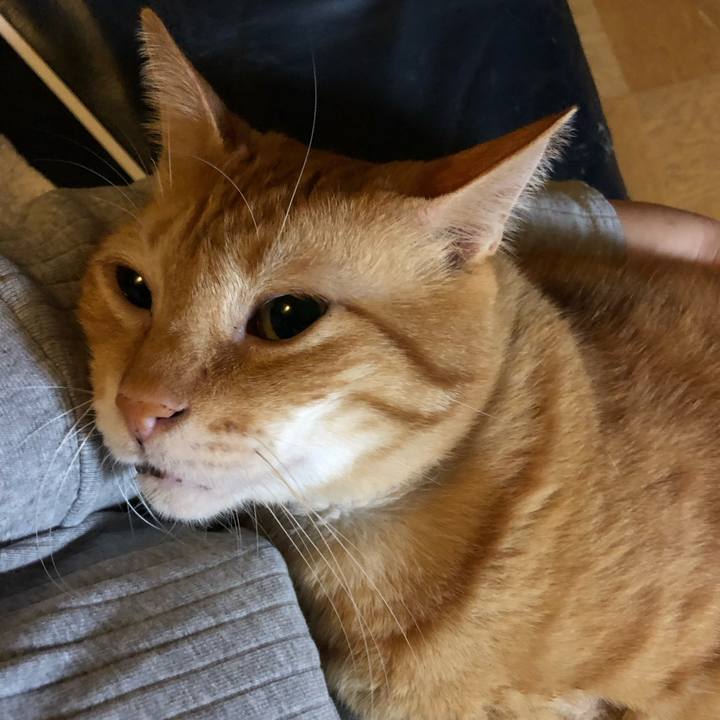 9c01bd70 02b2 4842 97c9 e7f47f9ff008 1598440206770