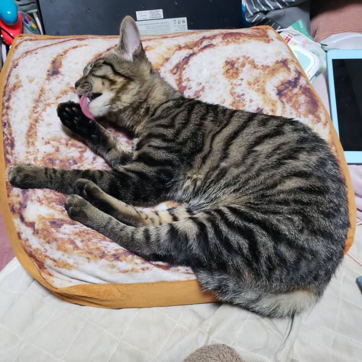 9c01c4fb 25e4 48c9 b271 9387949928e6 1543671982712