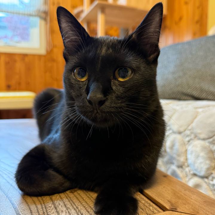 9c01d9c8 66cc 4da5 8716 830bb24f448f 1762209884403